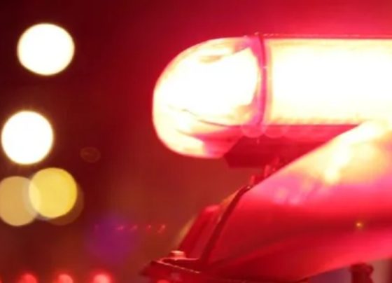 Comerciante cai em golpe bancário e perde R$ 9,5 mil após acesso a página falsa