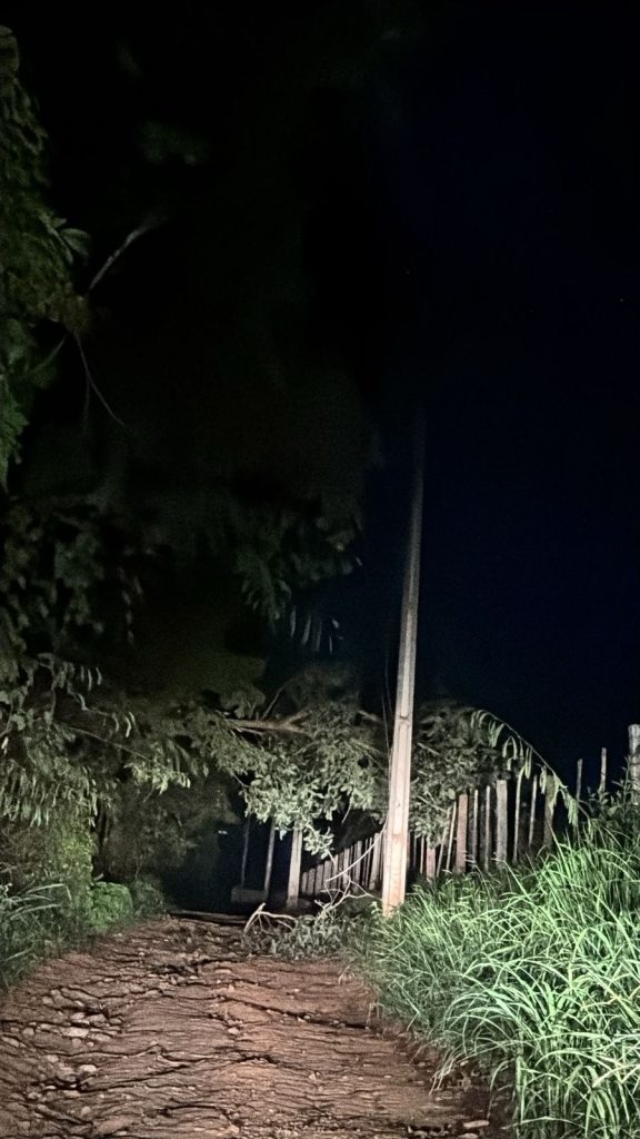 Cerca de 80 moradores ficam sem energia após galho atingir rede elétrica no distrito de Mocambeiro, em Matozinhos