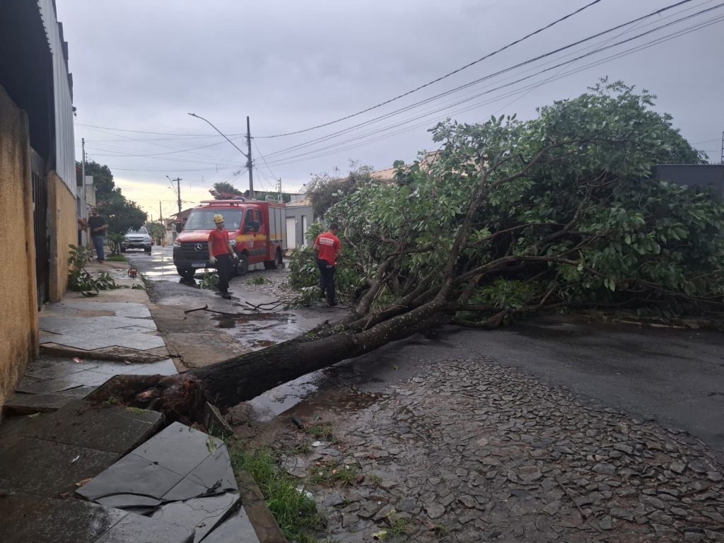 Chuvas derrubam árvores, interditam vias e mobilizam bombeiros em Sete Lagoas e região