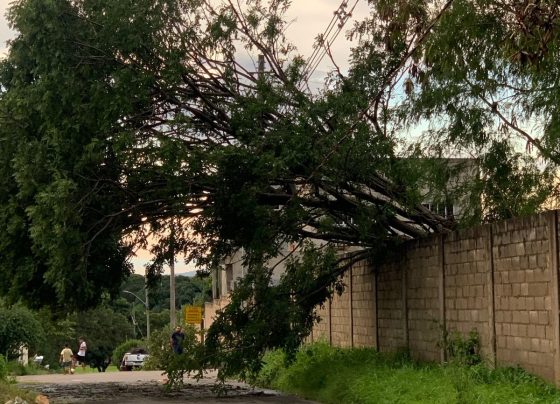 Mais de 24 horas sem energia revoltam moradores em Prudente de Morais