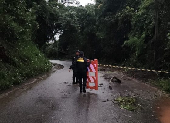 Poste cai e deixa estrada de Tapera e Coqueirinho interditada parcialmente em Pedro Leopoldo