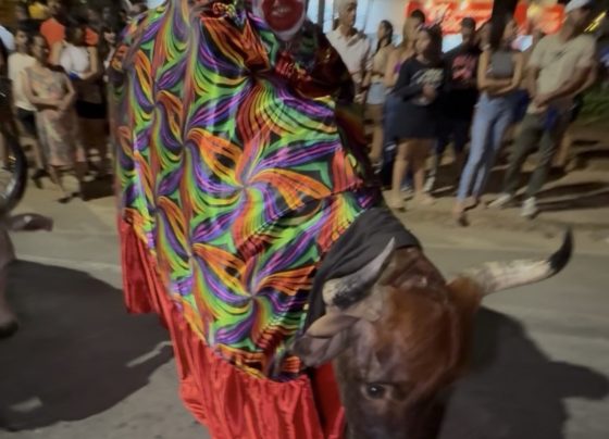 REPORTAGEM ESPECIAL: Boi da Manta: 107 anos de tradição que transformam Pedro Leopoldo em festa popular
