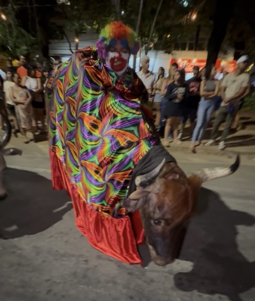 REPORTAGEM ESPECIAL: Boi da Manta: 107 anos de tradição que transformam Pedro Leopoldo em festa popular