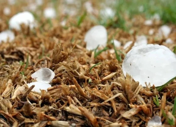 Tempestade com granizo coloca 600 cidades de MG e outros quatro estados em alerta