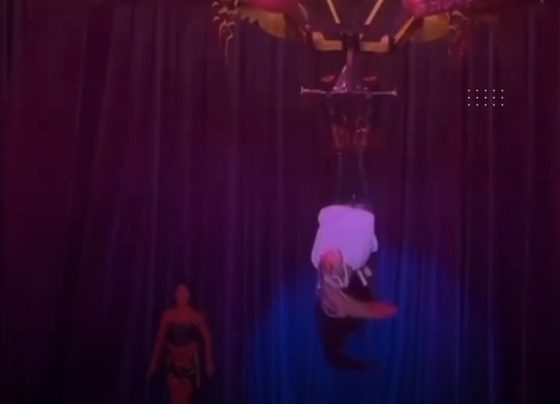 VÍDEO: Espetáculo Imperdível: Circo do Dedé Santana estreia neste sábado com estrutura 100% coberta