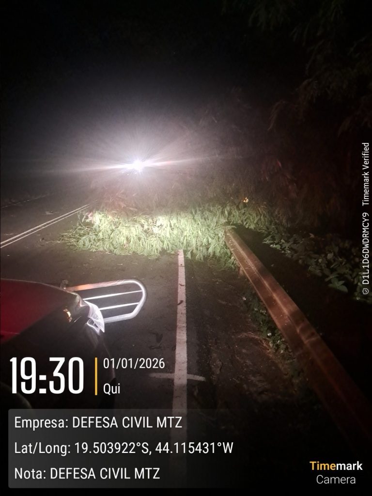 VÍDEO: Queda de árvores na MG-424 mobiliza Bombeiros, Defesa Civil e Polícia Militar em Matozinhos