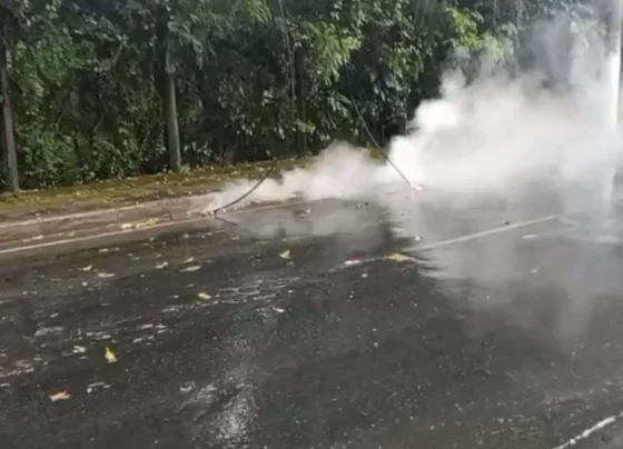 VÍDEO: Rua São Paulo é interditada em Pedro Leopoldo após fiação energizada se romper durante chuva