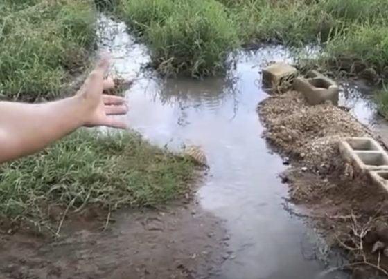 VÍDEO: Vereador denuncia vazamento de esgoto a céu aberto e cobra providências da Copasa em Pedro Leopoldo