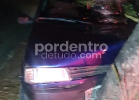 Carro bate em árvore na MG-238 e motorista fica gravemente ferido