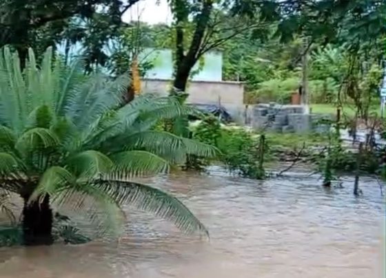 Chuva provoca alagamentos no bairro Vera Cruz de Minas, em Pedro Leopoldo