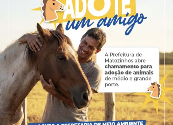 Prefeitura de Matozinhos abre chamamento público para adoção de animais de médio e grande porte