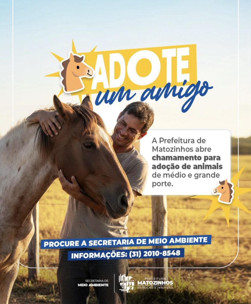 Prefeitura de Matozinhos abre chamamento público para adoção de animais de médio e grande porte