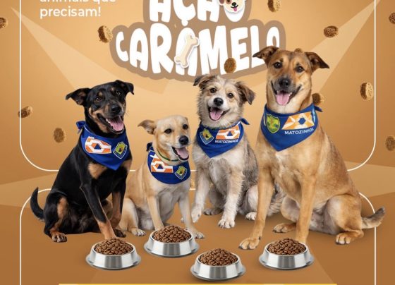 Prefeitura lança campanha “Ação Caramelo” para arrecadar ração em Matozinhos