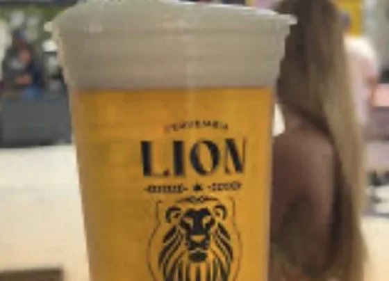 VÍDEO: Cervejaria Lion celebra presença no Carnaval de Pedro Leopoldo e aprovação do público