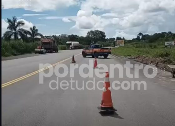 VÍDEO: Defesa Civil interdita MG-424 por cerca de 20 minutos para retirada de árvore em Pedro Leopoldo