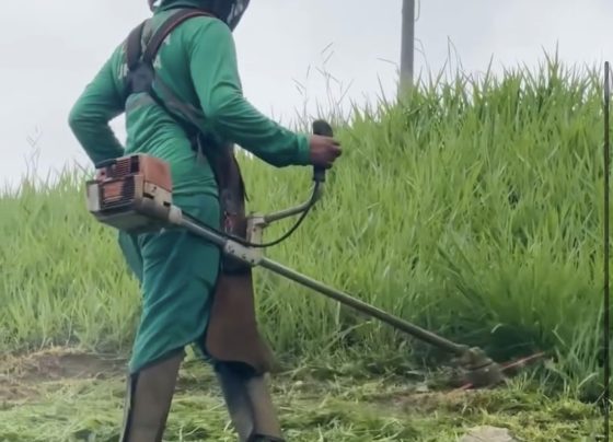 VÍDEO: Dia D da Limpeza começa neste sábado e mobiliza mais de 100 profissionais em Pedro Leopoldo