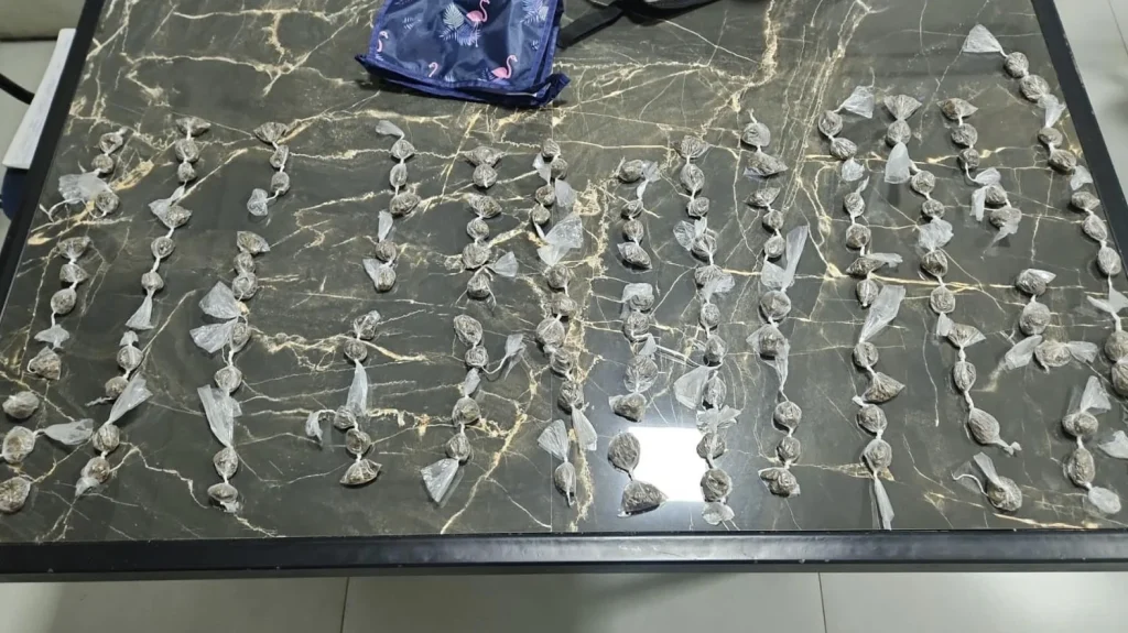 131 buchas de maconha são apreendidas perto de centro infantil e dois homens são presos em Matozinhos