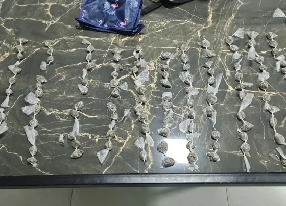 131 buchas de maconha são apreendidas perto de centro infantil e dois homens são presos em Matozinhos