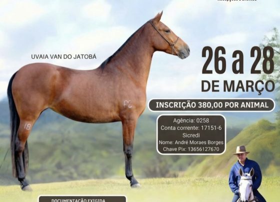 Exposição Regional do Mangalarga Marchador acontece em Matozinhos entre 26 e 28 de março