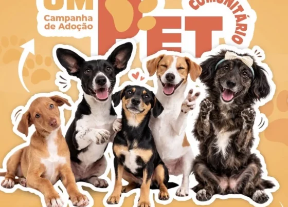Matozinhos lança campanha para incentivar adoção de pets comunitários