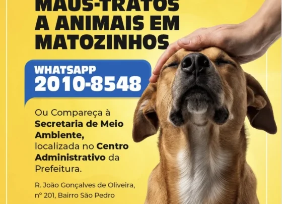 Maus-tratos a animais podem ser denunciados em Matozinhos