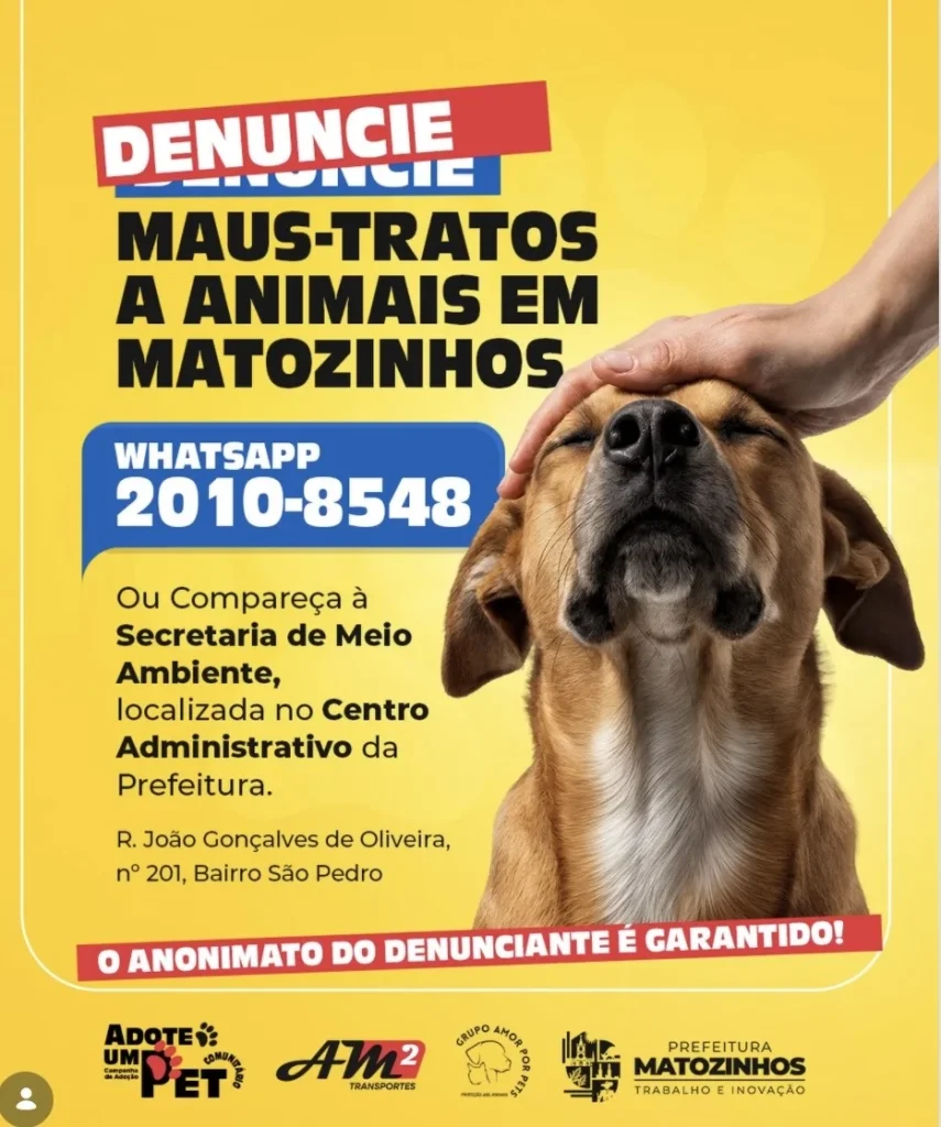 Maus-tratos a animais podem ser denunciados em Matozinhos