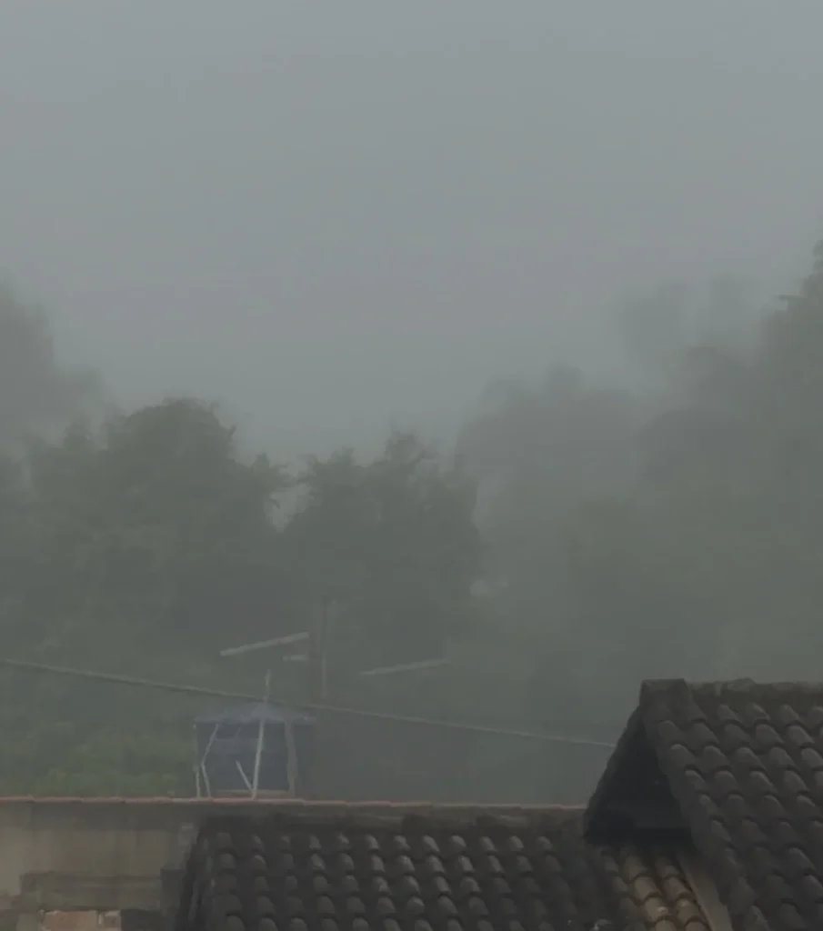 Neblina intensa cobre Matozinhos e cidades da região na manhã deste domingo
