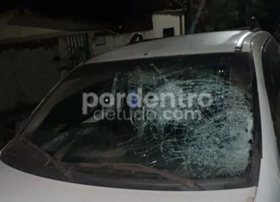 Pedestre em situação de risco é atropelado e fica em estado grave na MG-238