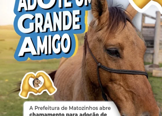 Prefeitura abre chamamento para adoção de animais de médio e grande porte em Matozinhos