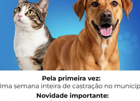 Prefeitura de Pedro Leopoldo abre inscrições para mutirão de castração de cães e gatos