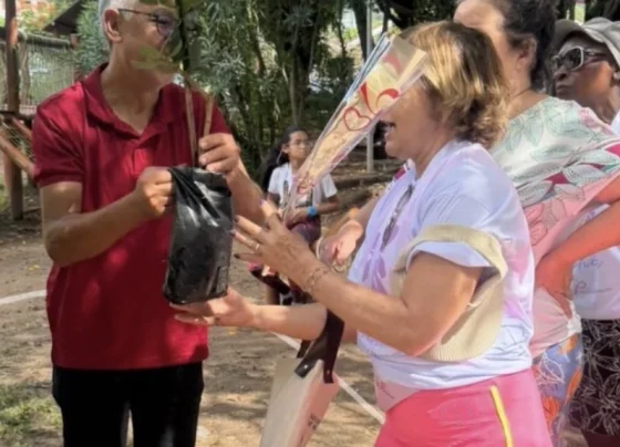 Prefeitura de Pedro Leopoldo distribui mais de 100 mudas durante evento na Praça da Estação