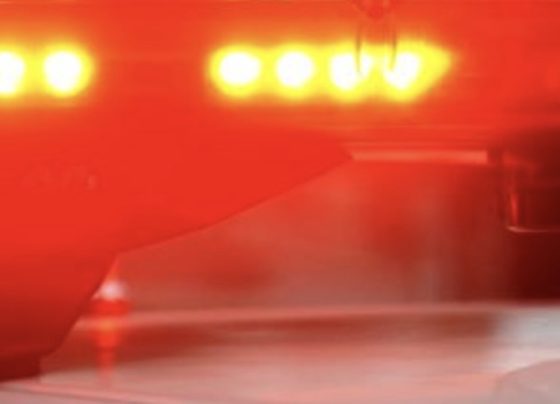 Cão farejador encontra drogas escondidas em túmulo de cemitério no interior de MG