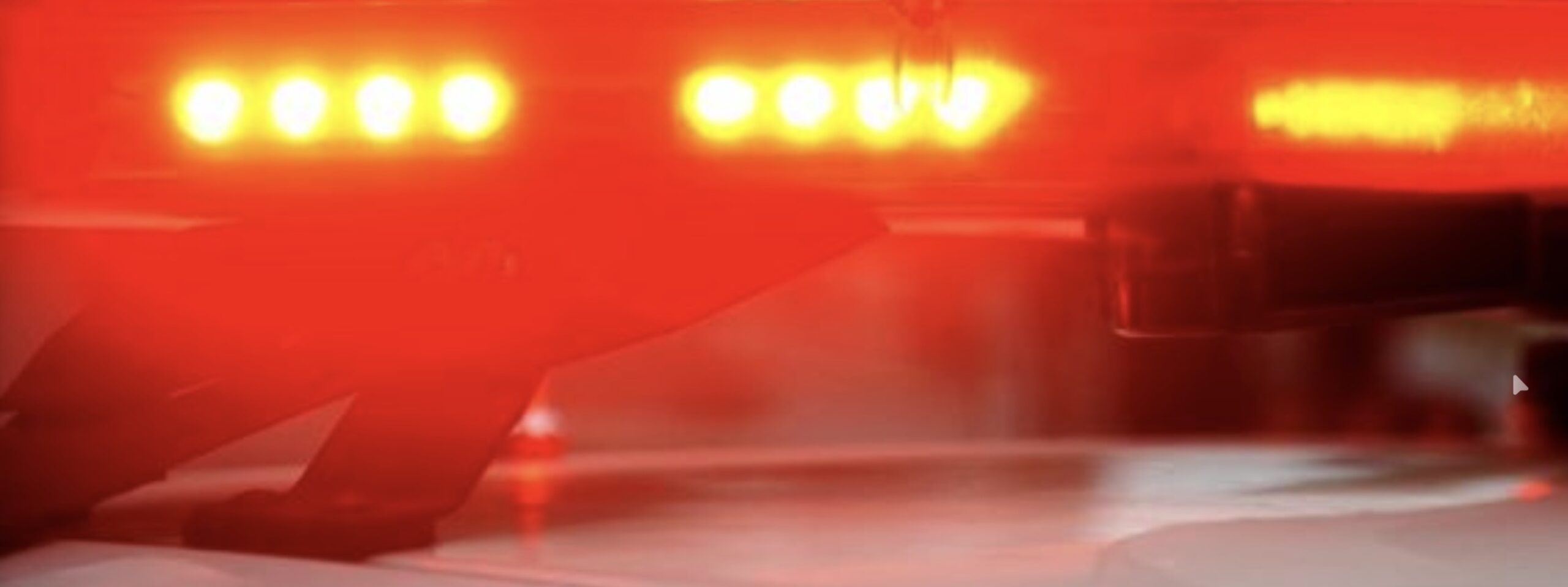 Cão farejador encontra drogas escondidas em túmulo de cemitério no interior de MG