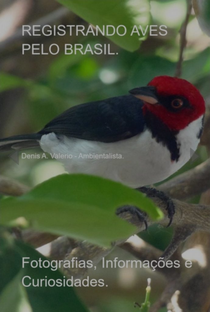 Bombeiro civil de Pedro Leopoldo lança livro sobre aves e meio ambiente