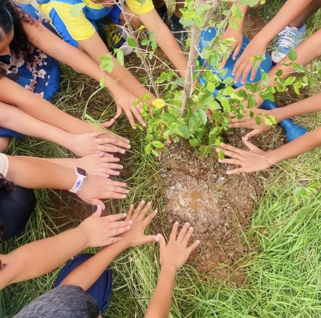 Matozinhos avança com ações de preservação ambiental e plantio de mudas