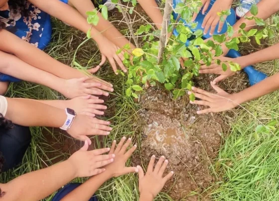 Matozinhos avança com ações de preservação ambiental e plantio de mudas