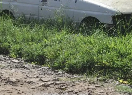 Pedro Leopoldo remove veículos abandonados e alerta para risco à saúde pública