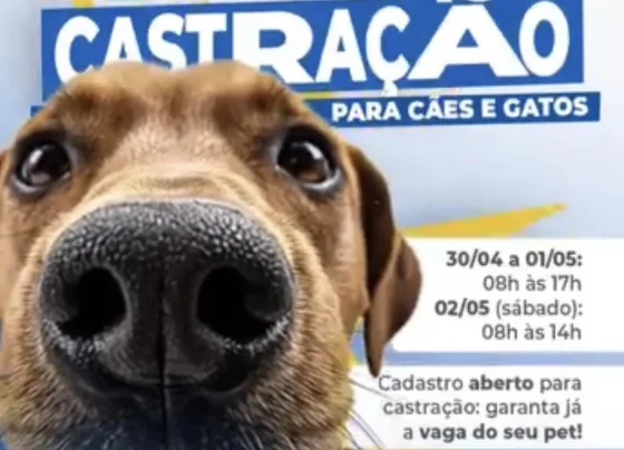Pré-cadastro para castração de cães e gatos é realizado em Matozinhos