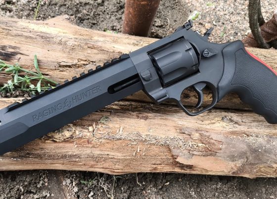 Revólver .357 e 6 munições são apreendidos em Pedro Leopoldo