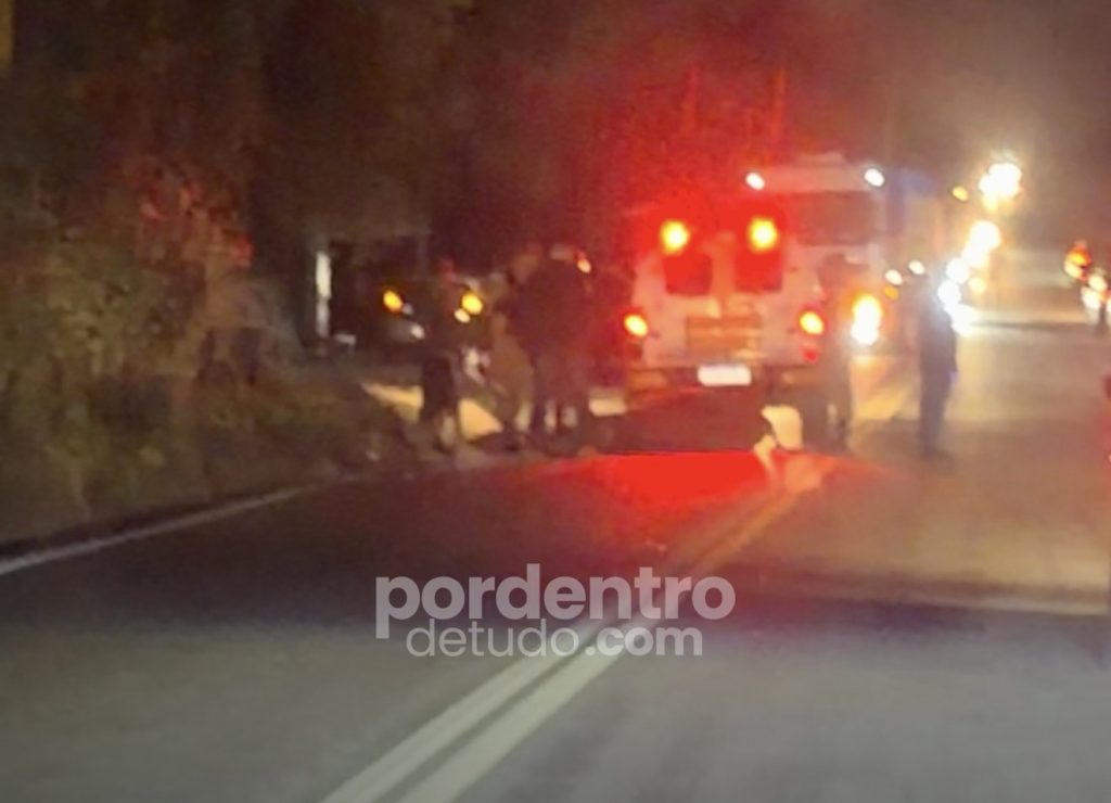 VÍDEO: Animal é atropelado na MG-424 em Matozinhos