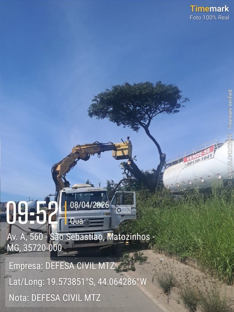 VÍDEO: Defesa Civil realiza poda após risco de queda de árvore em Matozinhos