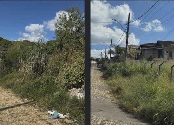VÍDEO: “Limpeza de lotes não é responsabilidade da Prefeitura”, diz vereador sobre situação no Bairro Florestal