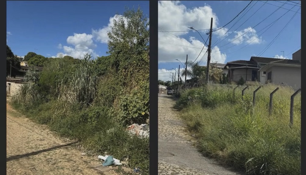 VÍDEO: “Limpeza de lotes não é responsabilidade da Prefeitura”, diz vereador sobre situação no Bairro Florestal