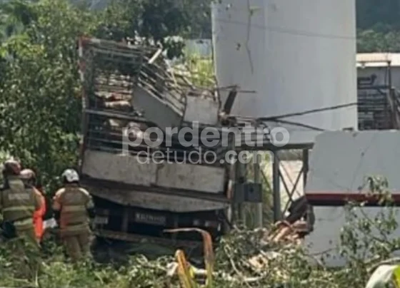 Acidente com caminhão carregado com suínos deixa mulher morta em São José da Lapa