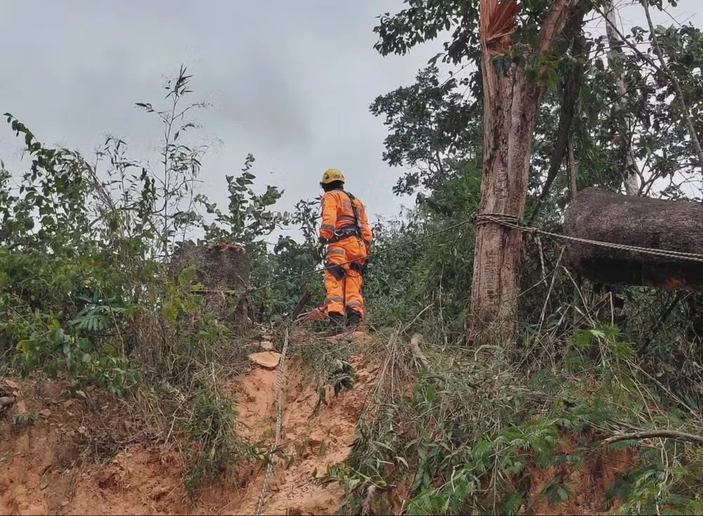 “Árvore caiu sobre trabalhador” e homem morre durante serviço em Pedro Leopoldo