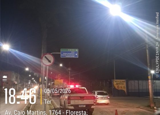 Defesa Civil e Secretaria de Obras iniciam poda preventiva de palmeiras em Matozinhos