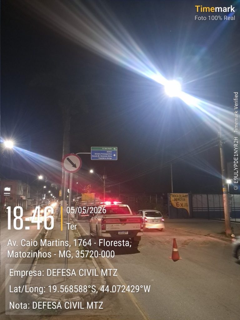 Defesa Civil e Secretaria de Obras iniciam poda preventiva de palmeiras em Matozinhos