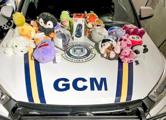 Guarda Civil Municipal recupera brinquedos furtados de shopping em Sete Lagoas