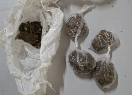 PM apreende cocaína, maconha e dinheiro durante operação contra tráfico em Pedro Leopoldo