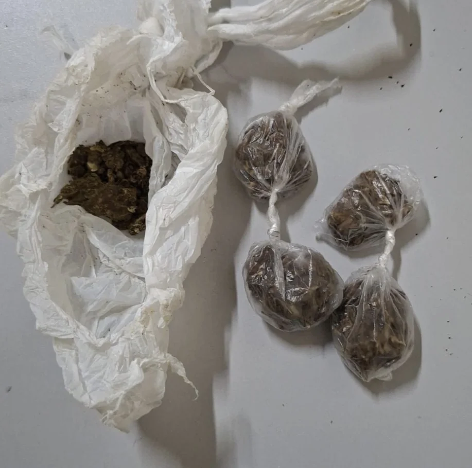 PM apreende cocaína, maconha e dinheiro durante operação contra tráfico em Pedro Leopoldo
